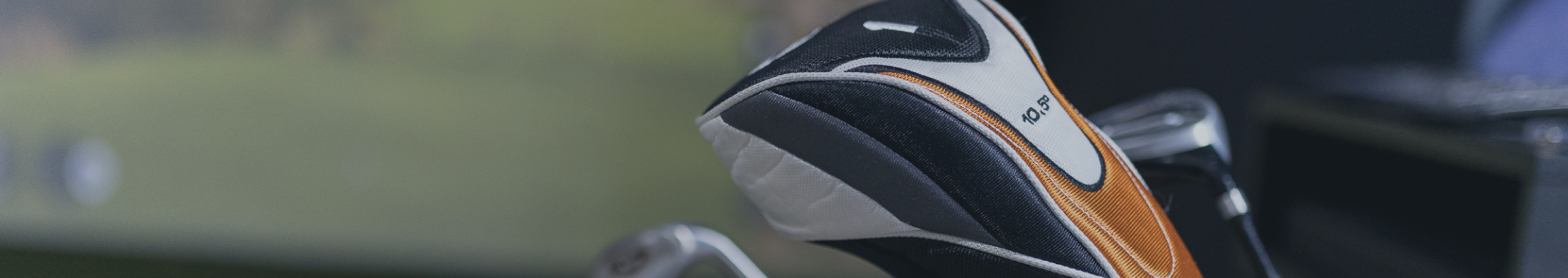 Fairway Golf Simulation - Photo 3